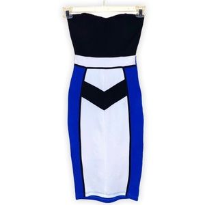 [Windsor] Strapless Fitted Dress